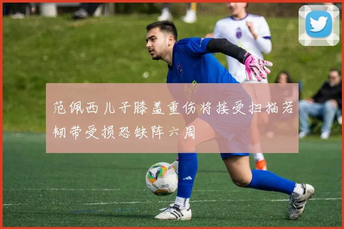 范佩西儿子膝盖重伤将接受扫描若韧带受损恐缺阵六周